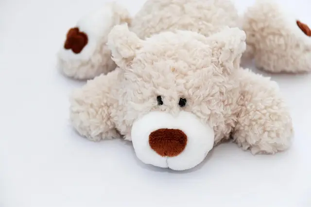 Small Animal Supplies